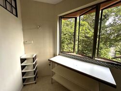 Balmoral Luck (D10), Condominium #599279811